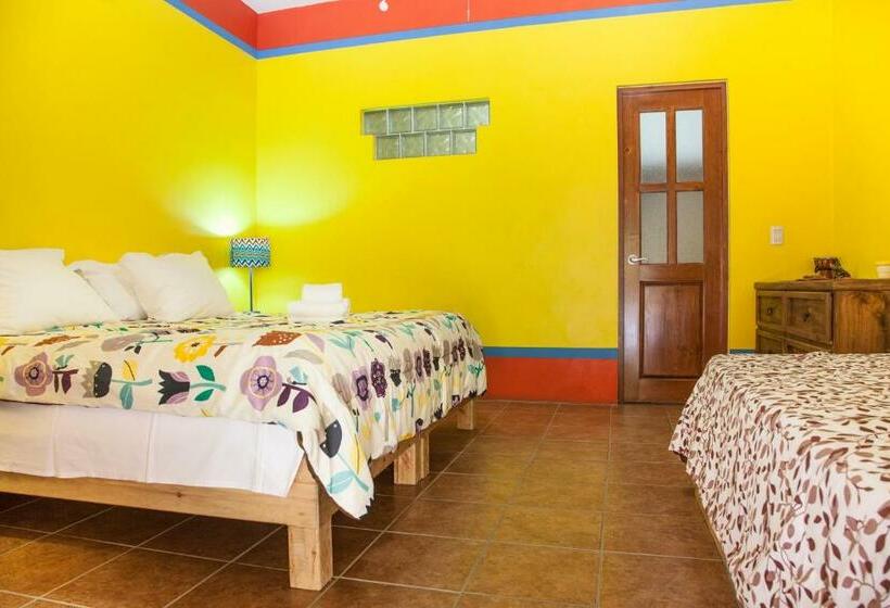 اتاق استاندارد, Casa Juarez B&b