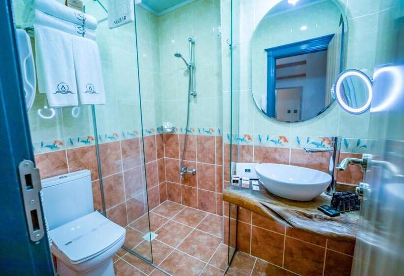 Habitación Estándar Vista Ciudad, Aksular