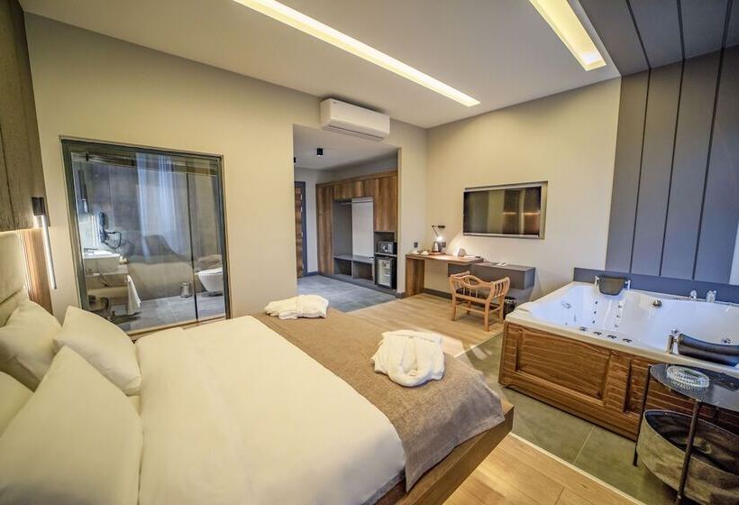 Habitación Estándar, Aksular