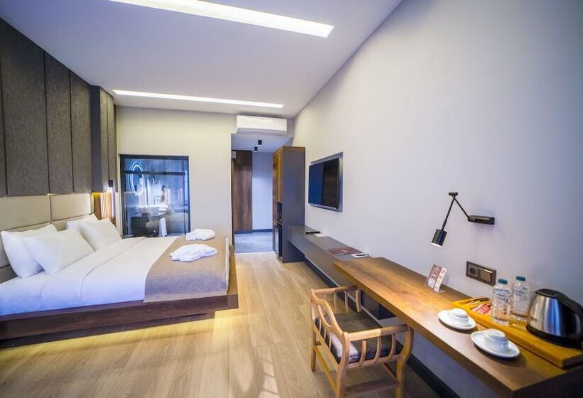 Habitación Estándar, Aksular