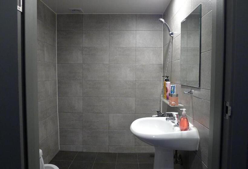 Номер Стандарт, The House Hostel