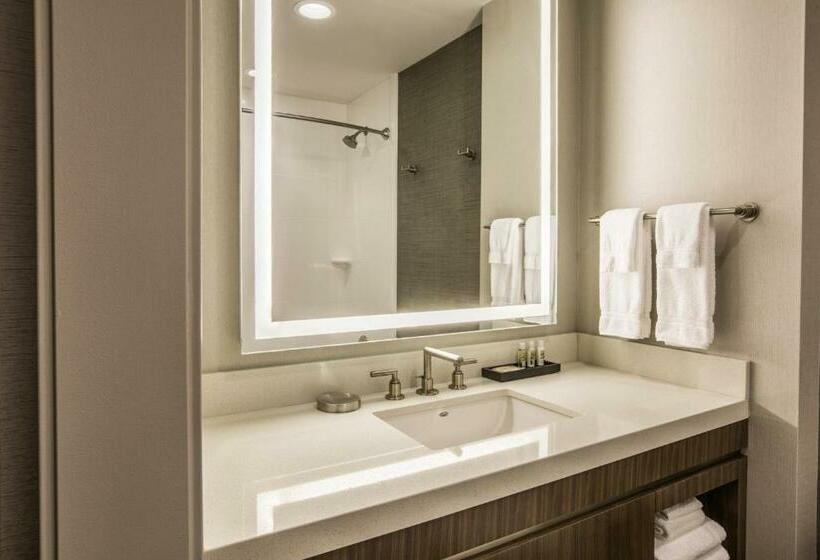 Номер Стандарт Кровать Кинг Адаптированный для Инвалидов, Holiday Inn Portland West   Hillsboro, An Ihg