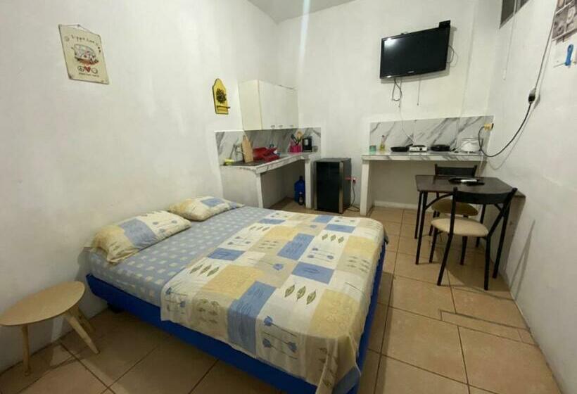 Полулюкс, Playa Suites & Apartments Malecon