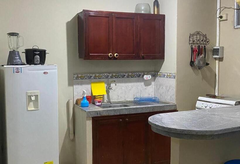 Апартаменты 1 Спальня, Playa Suites & Apartments Malecon