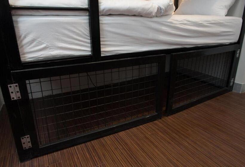 Кровать в Общей Комнате, 91 Loop Boutique Hostel