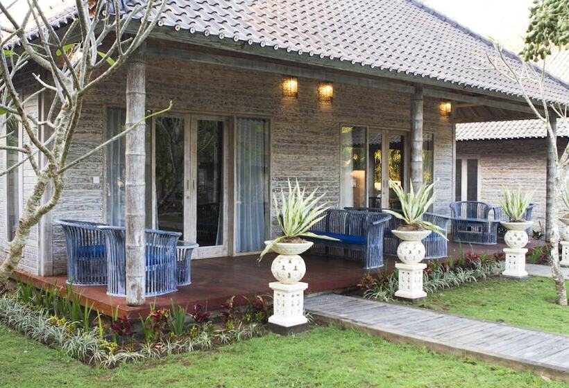Люкс Повышенной Комфортности, The Palm Grove Villas