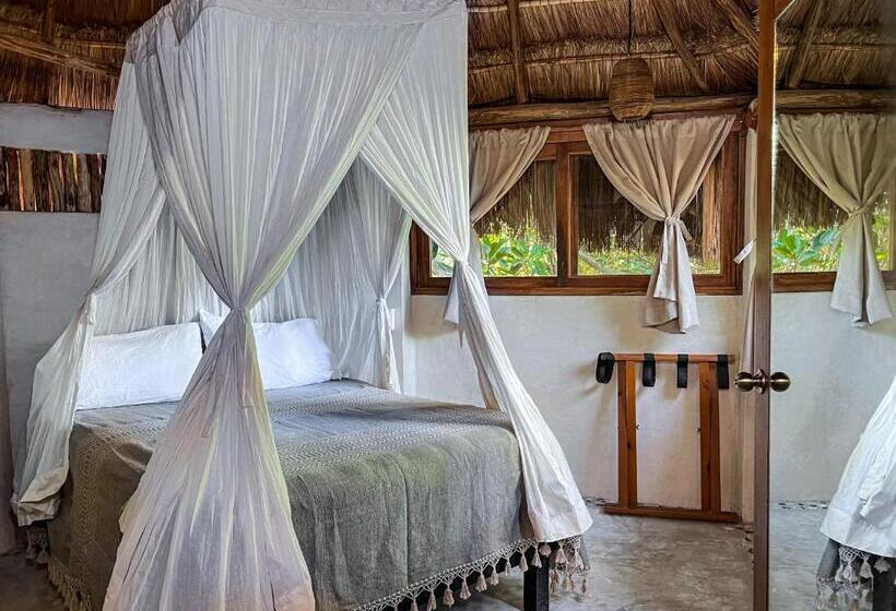 バンガロー・エコノミー, Diamante K   Inside Tulum National Park