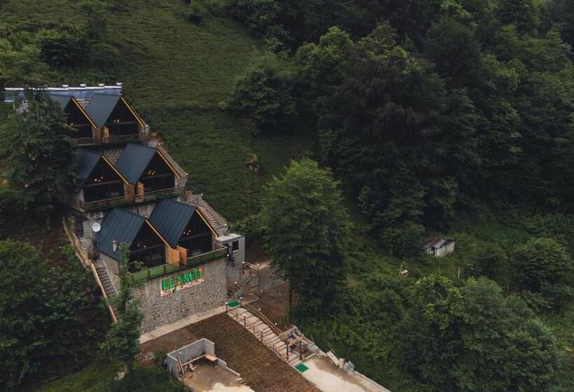 Семейный Номер Deluxe, Elamti Suıt Bungalov