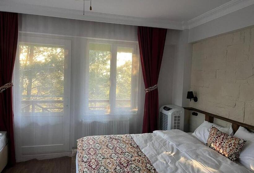 غرفة قياسية مطلة على الجبل, Sarı Konak Butik Otel