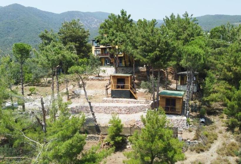 Номер Стандарт Вид на Сад, Sarı Konak Butik Otel