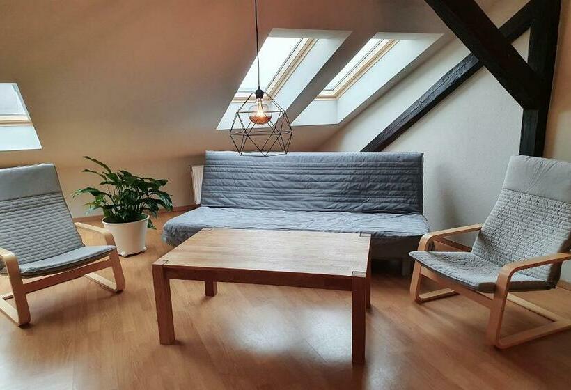 Апартаменты 1 Спальня, Aparthotel Mitte