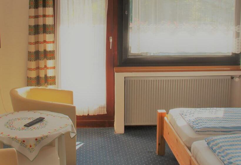 Номер Стандарт, Finkenberg
