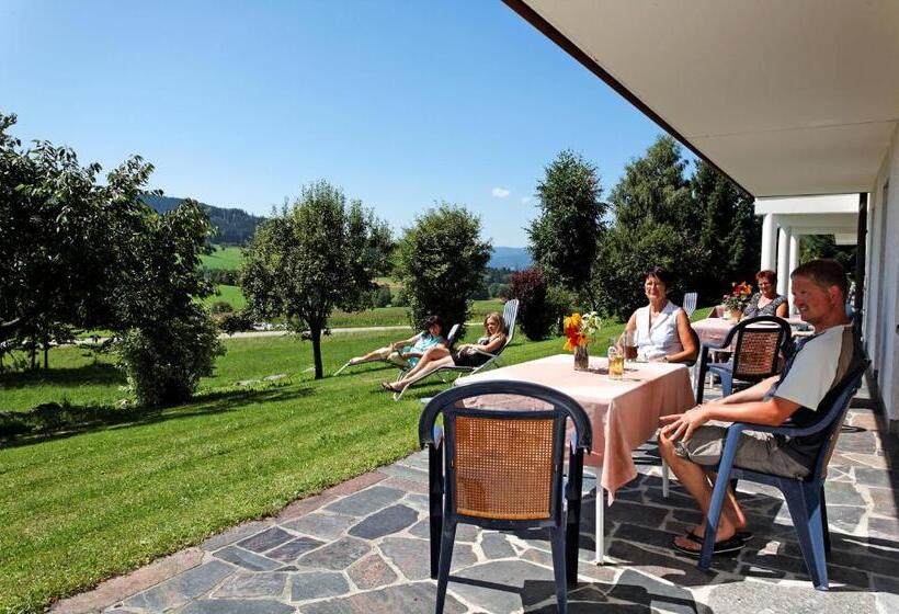Апартаменты 1 Спальня с Террасой, Landhaus Maria Bed&breakfast