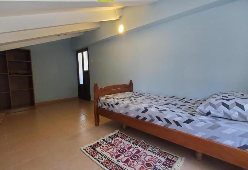 스탠다드 싱글 룸, Traveler Hostel