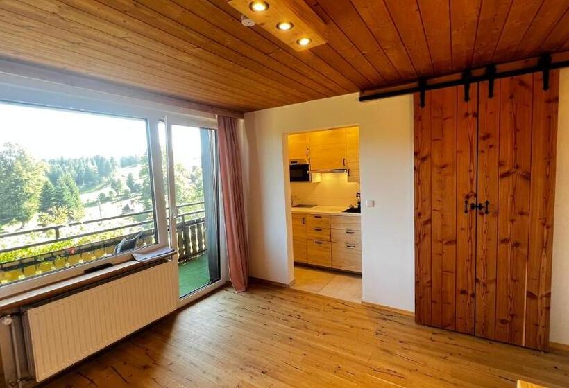 Апартаменты 1 Спальня с Балконом, Boutique Hotel And Apartments Pension Sternen