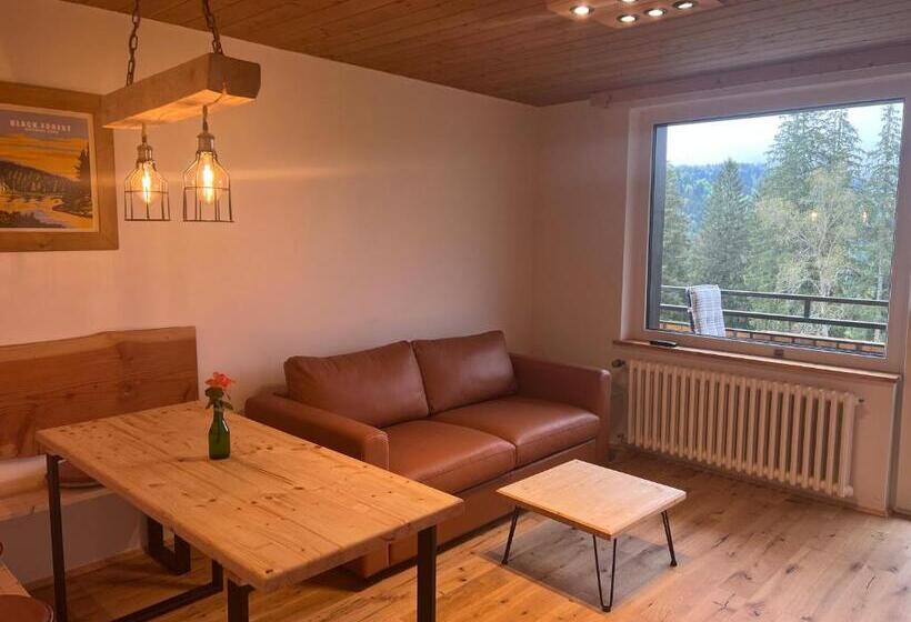 Апартаменты 1 Спальня с Видом, Boutique Hotel And Apartments Pension Sternen