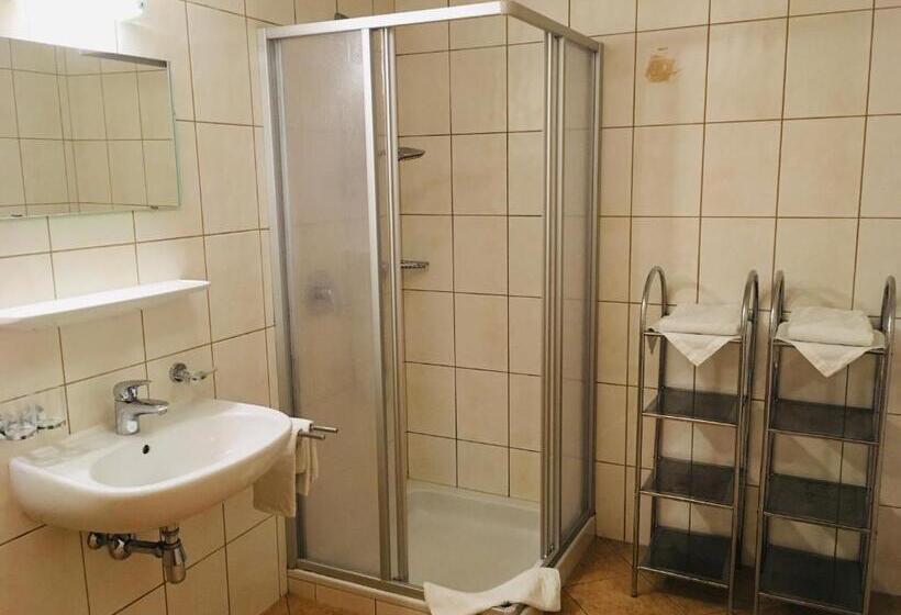 Апартаменты 1 Спальня, Pension Schneider