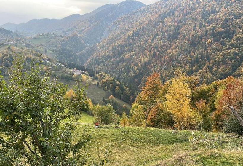 Номер Стандарт Вид на Горы, Pensiunea Magura