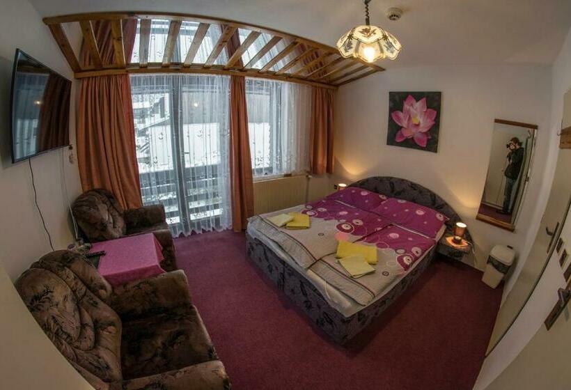 基本间, Penzion U Arnošta Skláře