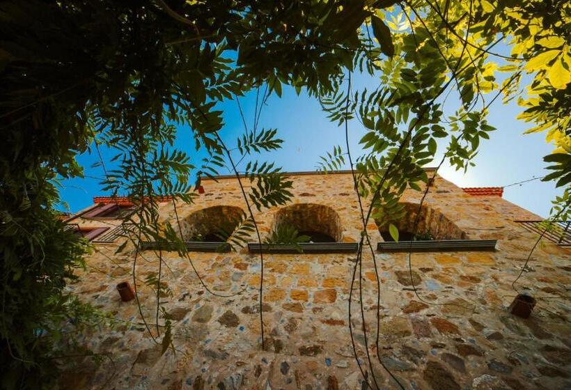 Апартаменты 1 Спальня с Террасой, Residenza Golfo Degli Ulivi