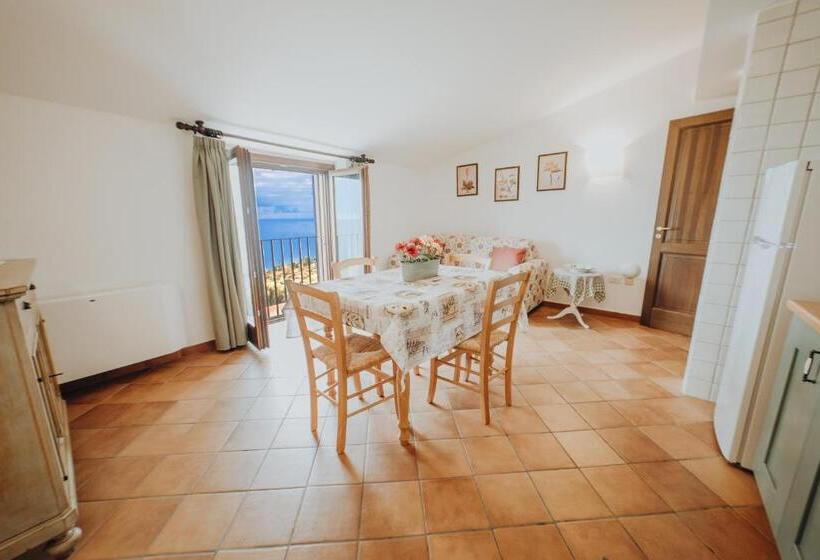 Апартаменты 1 Спальня Вид на Море, Residenza Golfo Degli Ulivi