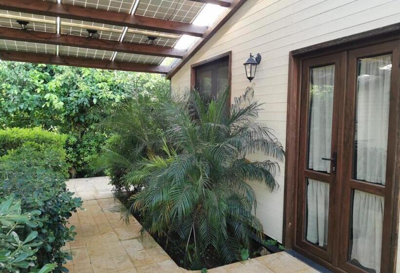 带1个卧室带花园景观的公寓, Villa Felicia