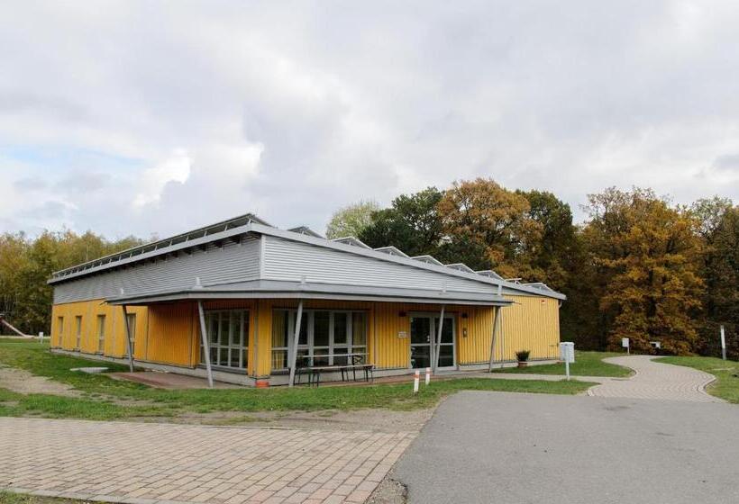 Четырехместный Номер Стандарт, Forum Grillensee