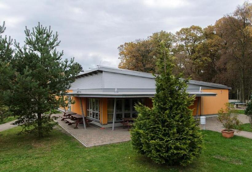 Четырехместный Номер Стандарт, Forum Grillensee