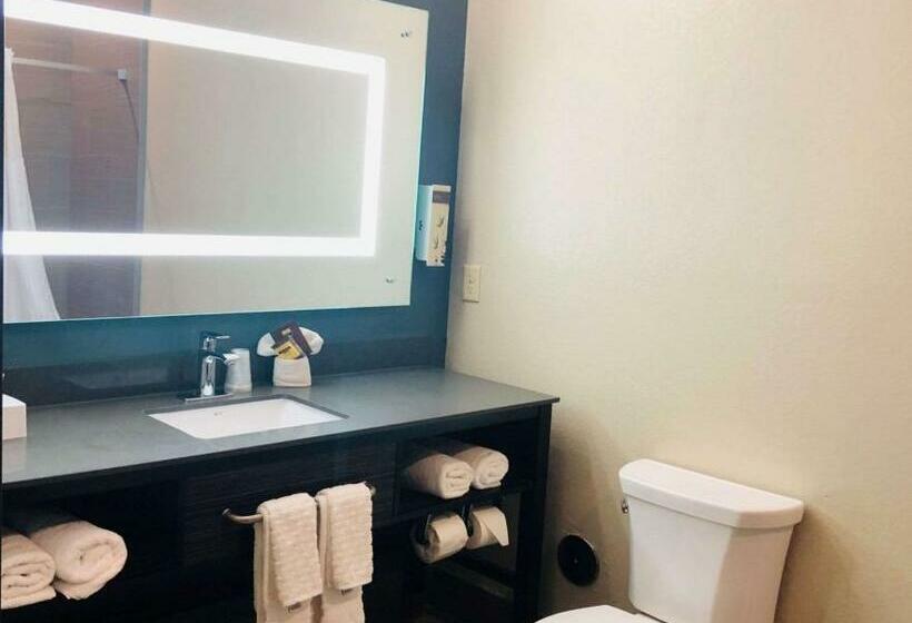 스탠다드 룸, Best Western Plus Pflugerville Inn & Suites