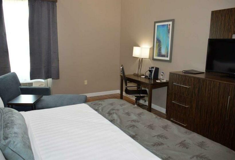 스탠다드 룸, Best Western Plus Pflugerville Inn & Suites