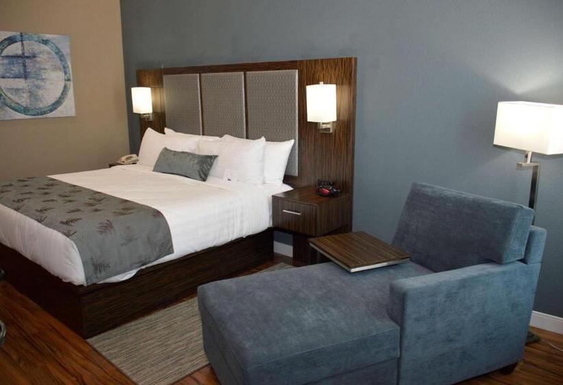 Номер Стандарт, Best Western Plus Pflugerville Inn & Suites