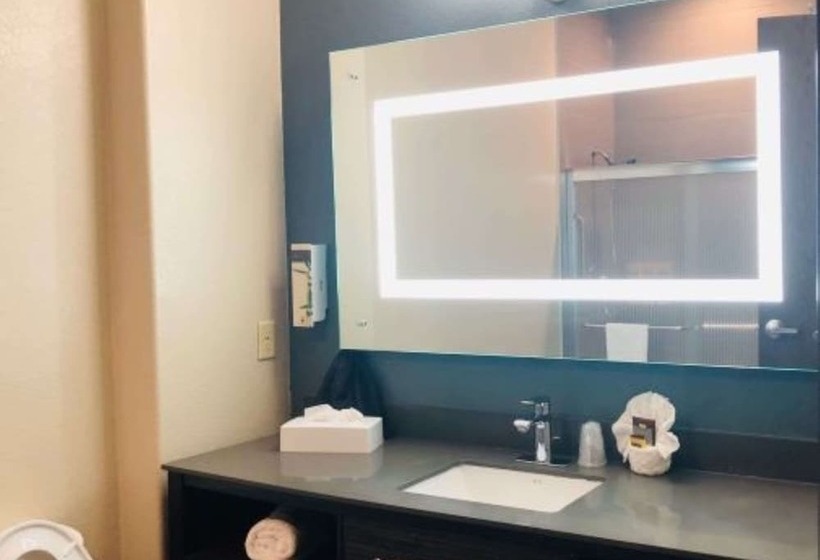 스위트, Best Western Plus Pflugerville Inn & Suites