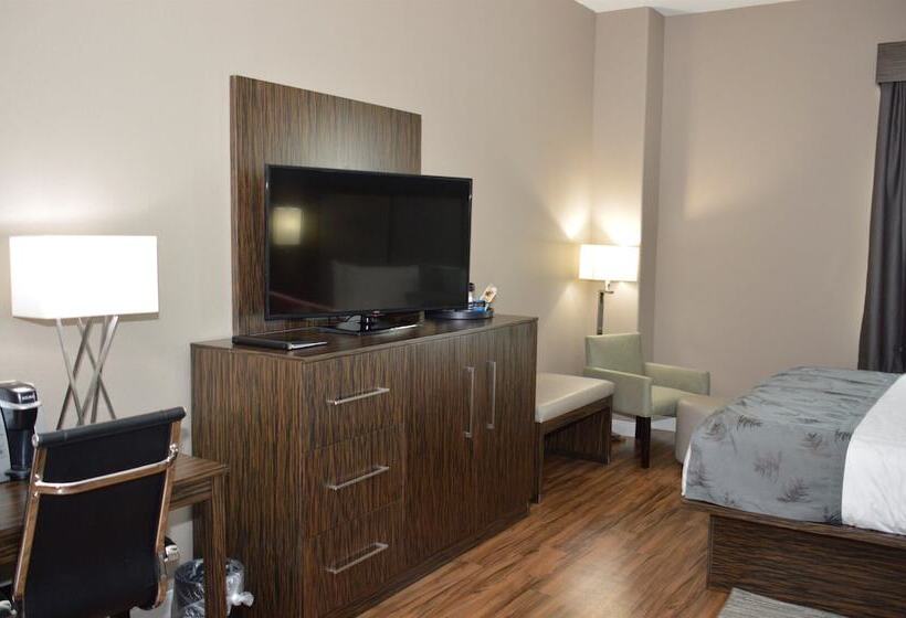 Люкс, Best Western Plus Pflugerville Inn & Suites
