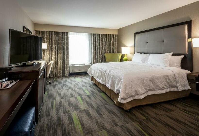 キングサイズベッドのデラックススイート, Hampton Inn & Suites Hammond