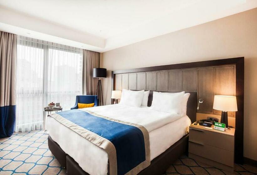 带大床的标准间, Holiday Inn Kayseri   Duvenonu, An Ihg