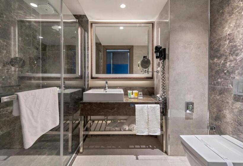 适合残疾人使用的标准间, Holiday Inn Kayseri   Duvenonu, An Ihg