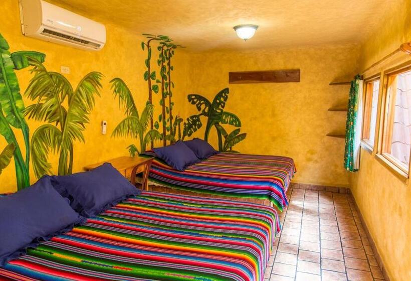 4인용 스탠다드 룸, El Sano Banano Beachside