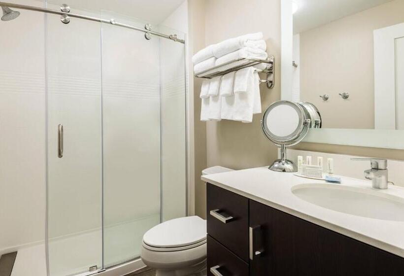 Студио Стандарт Кровать Кинг, Towneplace Suites By Marriott Latham Albany Airport