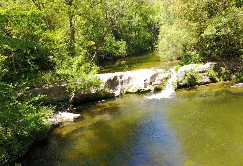 Номер Стандарт, Domaine De Fraisse