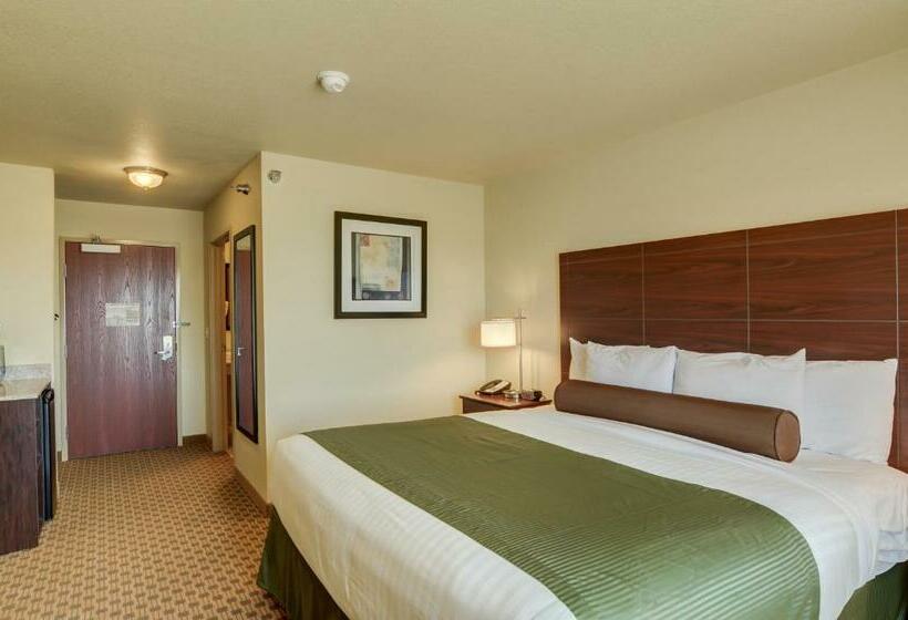 스탠다드 룸 킹사이즈 침대, Cobblestone Inn And Suites   Eaton