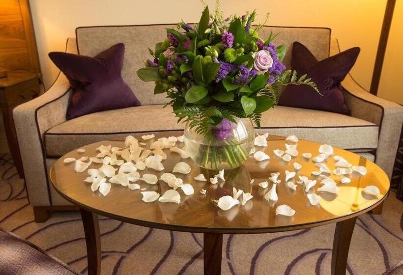 스탠다드 룸 킹사이즈 침대, The Celtic Manor Resort