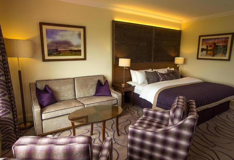 스탠다드 룸 킹사이즈 침대, The Celtic Manor Resort