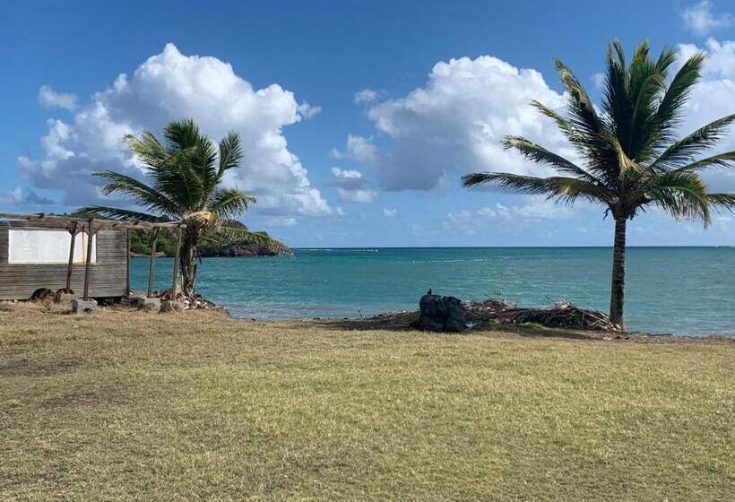 آپارتمان 2 خوابه, Les Plages De Macabou