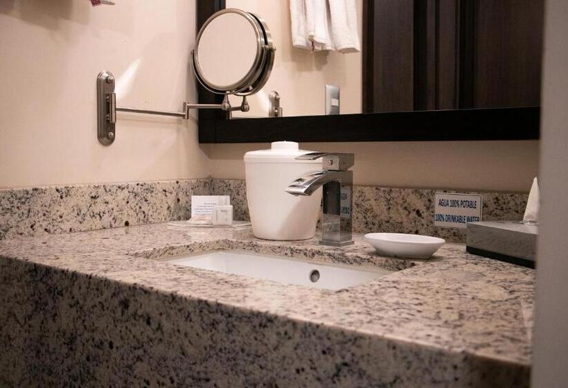 اتاق استاندارد با تخت بزرگ, Best Western Plus Chihuahua Juventud