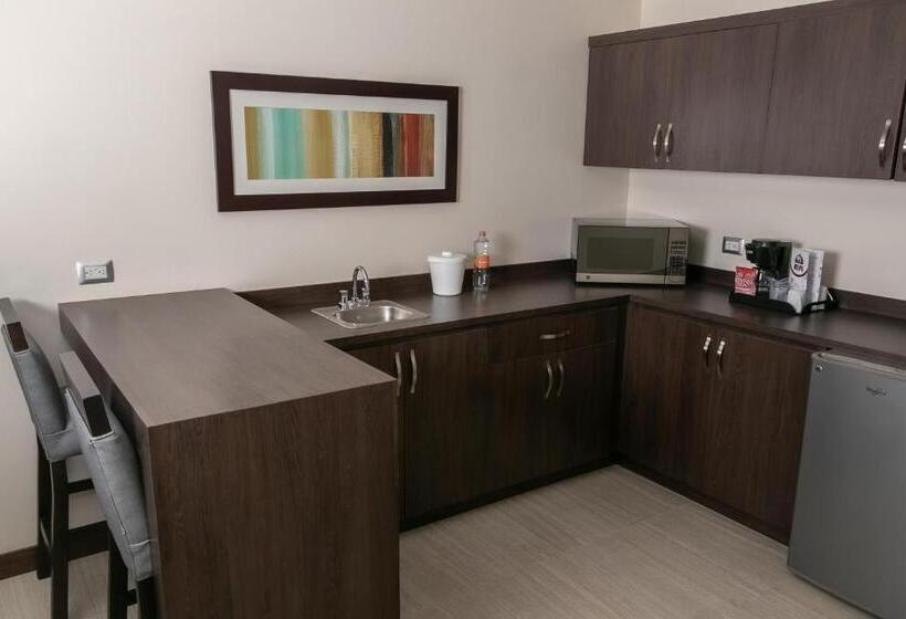 سوئیت با تخت بزرگ, Best Western Plus Chihuahua Juventud
