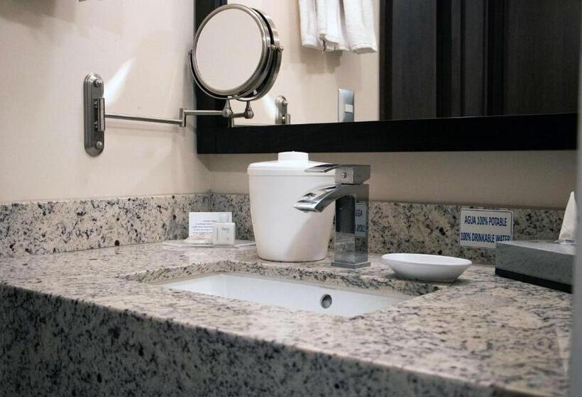 اتاق استاندارد با تخت بزرگ, Best Western Plus Chihuahua Juventud