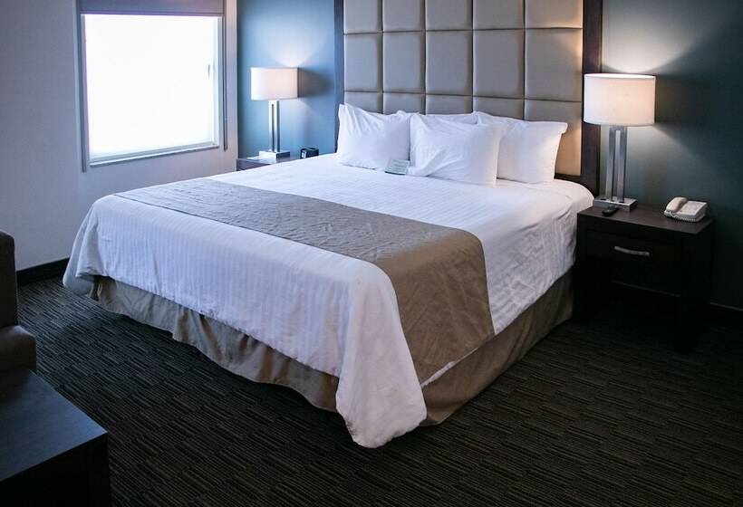 سوییت, Best Western Plus Chihuahua Juventud