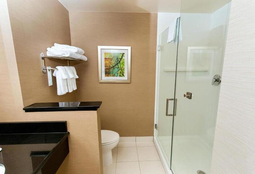 Стандартный Номер Кровать Кинг, Fairfield Inn & Suites By Marriott Richmond Midlothian