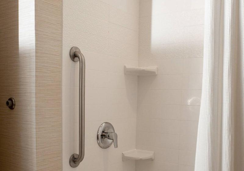 Стандартный Номер Кровать Кинг, Fairfield Inn & Suites By Marriott Richmond Midlothian