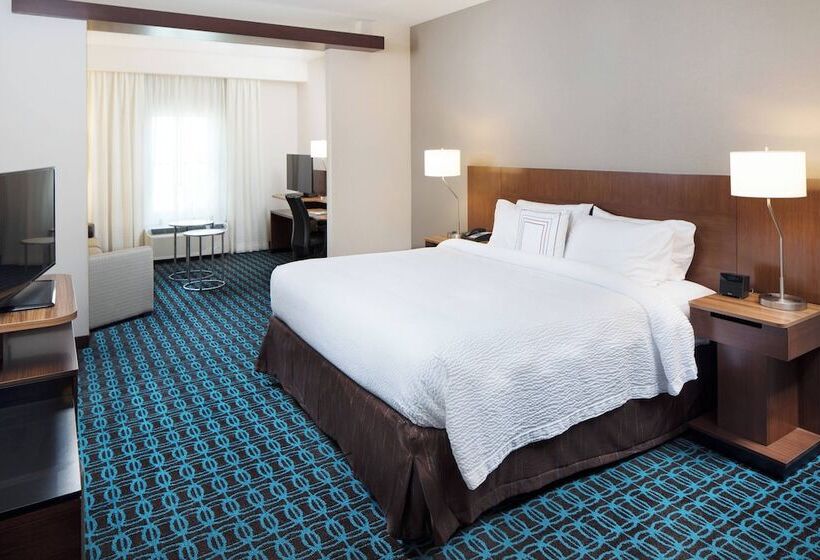 Люкс Адаптированный для Инвалидов, Fairfield Inn & Suites By Marriott Savannah Downtown Historic District